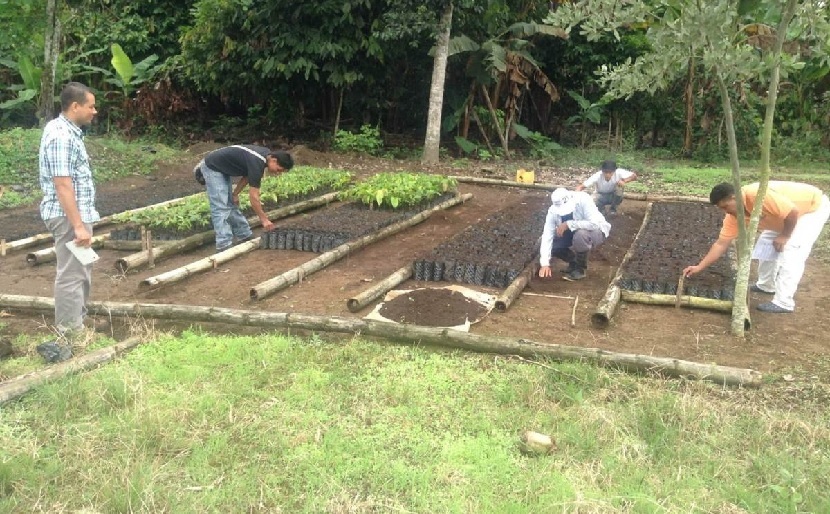 Verso la conclusione del progetto Pachamama/EquoCacao